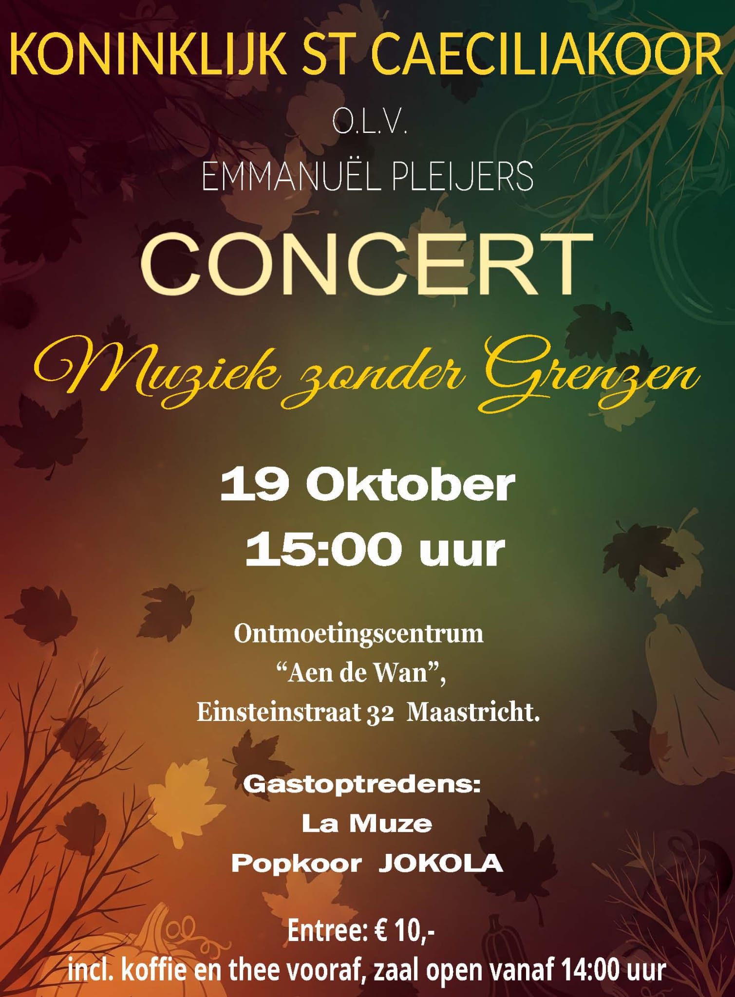Concert muziek zonder grenzen